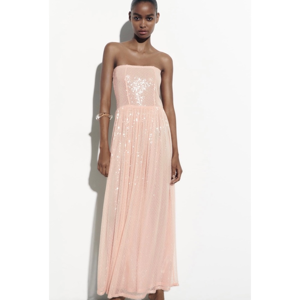 Zara Sequin Knit Dress
